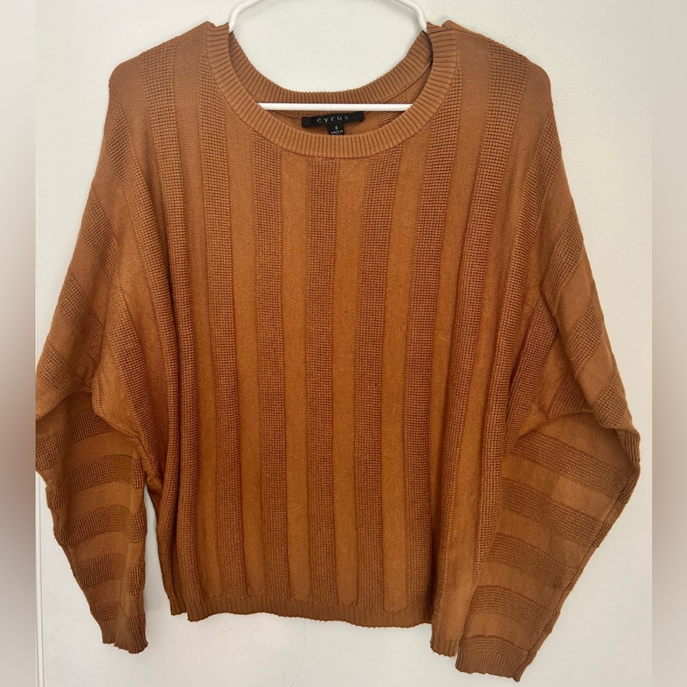 Cyrus Women's Brown Striped Sweater